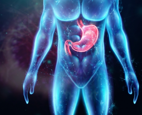 hologram of the human body with the stomach Easy Resize.com