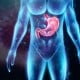 hologram of the human body with the stomach Easy Resize.com