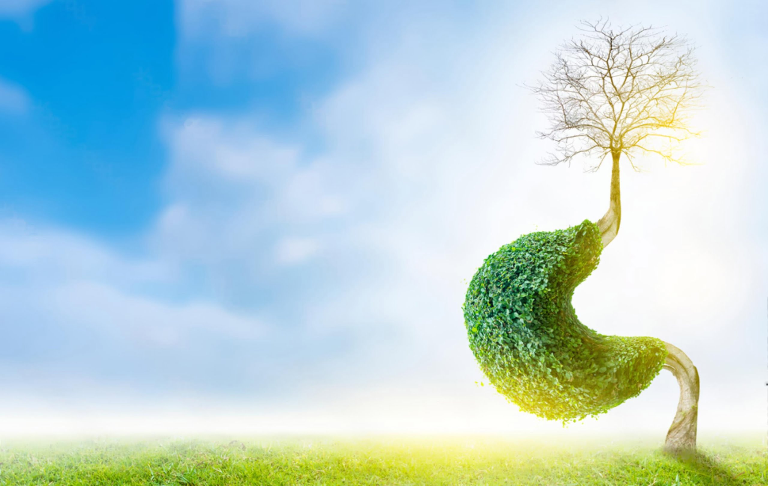 Revisional Endoscópica do Sleeve: Uma Solução Minimamente Invasiva para Problemas Pós-Bariátrica