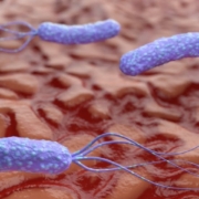 Helicobacter Pylori (H. Pylori) 52 image 13